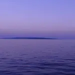 Captain's *